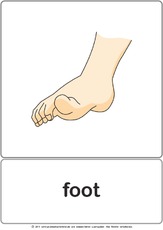 Bildkarte - foot.pdf